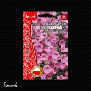 Диасция Розовая Королева барбера