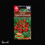 Томат Чудо на окошке черри Томат Чудо на окошке черри