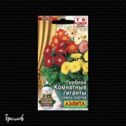 Гербера Комнатные гиганты смесь сортов Гербера Комнатные гиганты смесь сортов