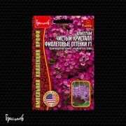 Алиссум Чистый Кристалл Фиолетовые Оттенки F1