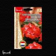 Пеларгония Нано Алая Двухцветная F1 карликовая