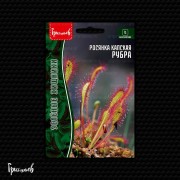 Росянка Рубра капская Росянка Рубра капская