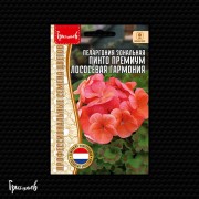 Пеларгония Пинто Премиум Лососёвая Гармония зональная