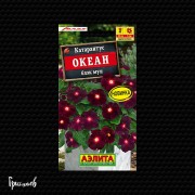 Катарантус Океан блэк мун