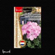 Пеларгония Пинто Премиум Лавандовая зональная