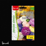 Астра Американская Кустовая Смесь Сортов китайская