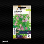 Мимоза Стыдливая