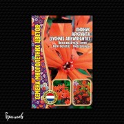 Лихнис Аркрайта