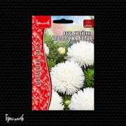 Астра Аполлония Белая китайская