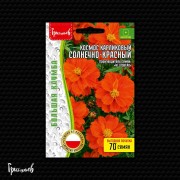 Космос Солнечно-Красный карликовый