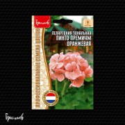 Пеларгония Пинто Премиум Оранжевая зональная