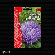 Астра Аполлония Светло-Голубая китайская