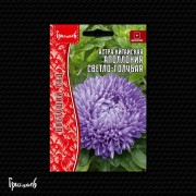 Астра Аполлония Светло-Голубая китайская