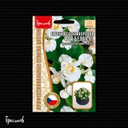 Бегония Фея Белая F1 густомахровая