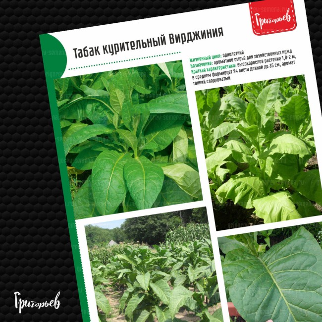Табак курительный Вирджиния