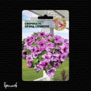Петуния Сферика орхид стрингри F1