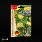 Астра Халк Зелёно-Жёлтая китайская