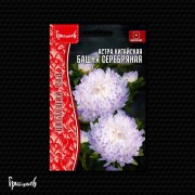 Астра Башня Серебряная китайская