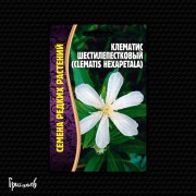Клематис Шестилепестковый Клематис Шестилепестковый