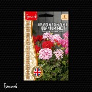 Пеларгония Квантум Микс F1 зональная