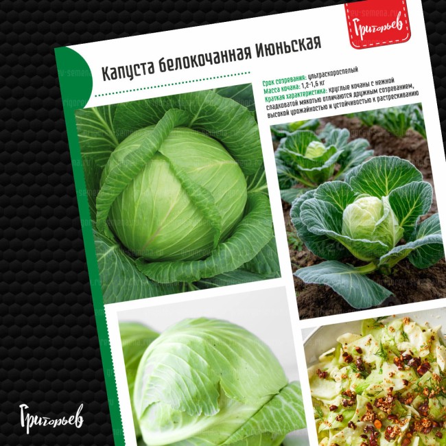 Капуста белокочанная Июньская