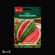 Арбуз Волжанин
