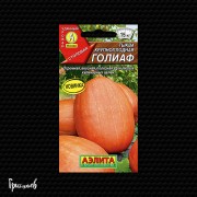 Тыква Голиаф крупноплодная Тыква Голиаф крупноплодная
