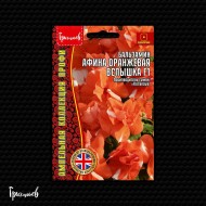Бальзамин Афина Оранжевая Вспышка F1 Бальзамин Афина Оранжевая Вспышка F1