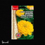 Цинния Джульетта Жёлтые Оттенки карликовая