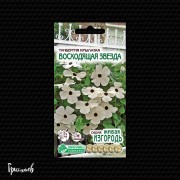 Тунбергия Восходящая звезда круылатая Тунбергия Восходящая звезда круылатая