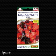 Бегония Бада бум F1 алая