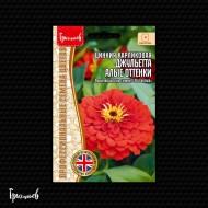 Цинния Джульетта Алые Оттенки карликовая
