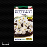 Бегония Бада бум F1 БЕЛАЯ