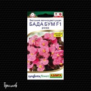 Бегония Бада бум F1 роза