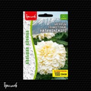 Бархатцы Килиманджаро прямостоячие