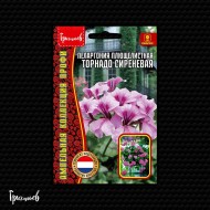 Пеларгония Торнадо Сиреневая плющелистная
