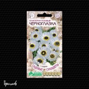 Гелиптерум Черноглазка розовый