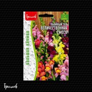 Львиный Зев Величественная Смесь кустовой