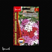Пеларгония Торнадо Микс плющелистная