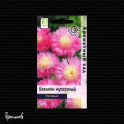 Василёк Розовый мускусный Василёк Розовый мускусный