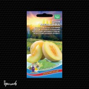 Дыня Апельсинка