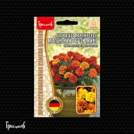 Бархатцы Маленький Герой Микс карликовые