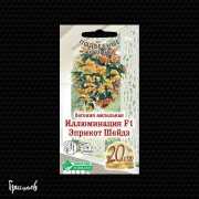 Бегония Иллюминация эприкот шейдз F1 ампельная Бегония Иллюминация эприкот шейдз F1 ампельная