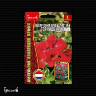 Пеларгония Торнадо Красная плющелистная