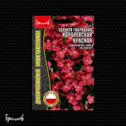 Обриета Королевская Красная гибридная