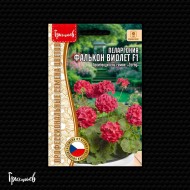 Пеларгония Фалькон Виолет F1 CMS