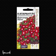 Катарантус Бургунди хало средиземноморский