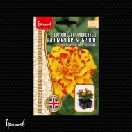 Бархатцы Алюмия Крем-Брюле отклонённые