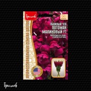 Львиный Зев Потомак Малиновый F1 Львиный Зев Потомак Малиновый F1
