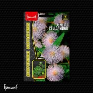 Мимоза Стыдливая